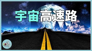 蘭頓螞蟻，走出詭異高速公路，揭示宇宙存在其他生命 l 老鳴TV