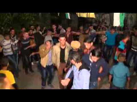 حفلة عماد الشافعي 4