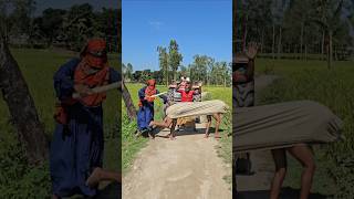 What Did The Cow Do From Behind?