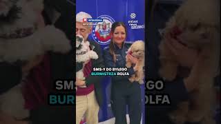 Porwał psy dla okupu. Żądał milion franków szwajcarskich