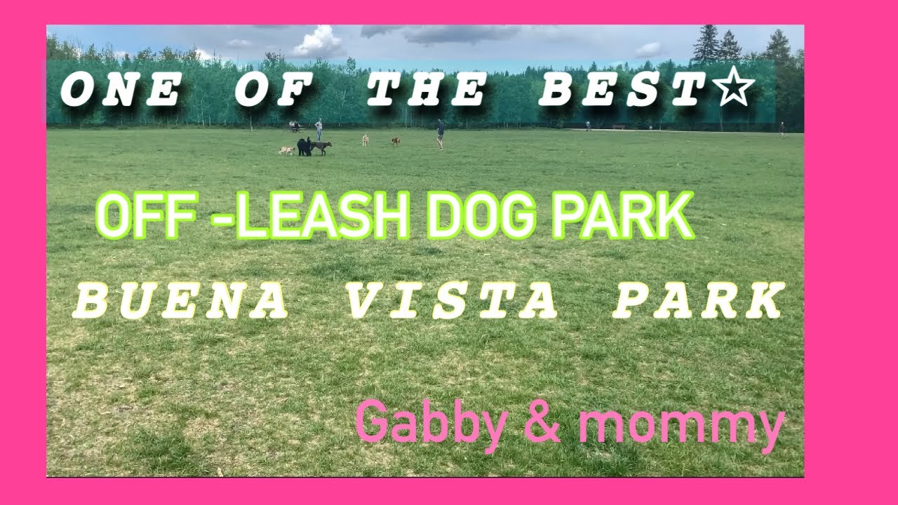 GABBY’S FIRST TIME AT ONE OF THE BEST OFF-LEASH DOG PARK |EDMONTON