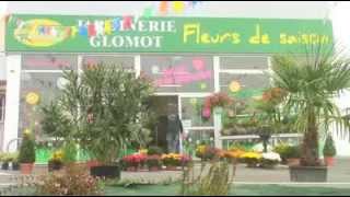 Tilleul de Henry - JARDINERIE GLOMOT