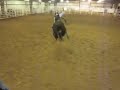 Dan Jilg Bull Riding - 3