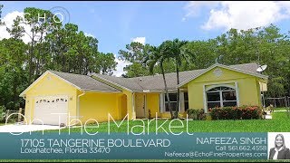 17105 Tangerine Boulevard video tour