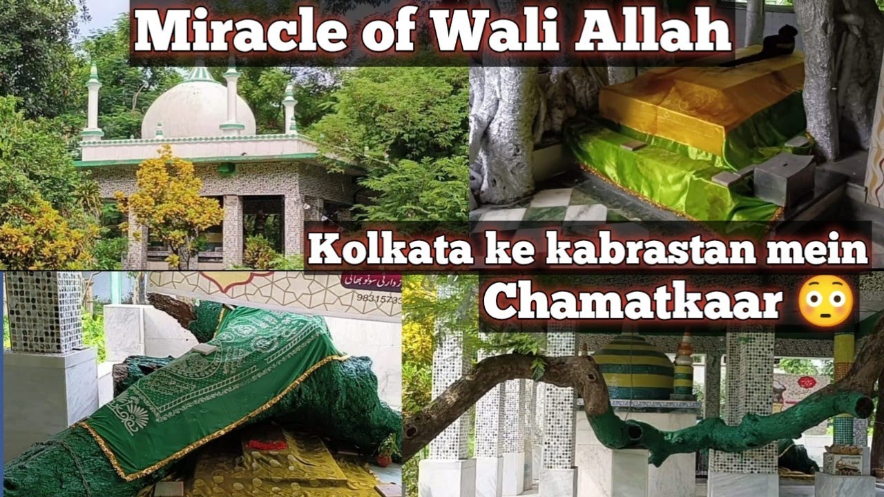 Kolkata k 3 No.Gobara kabristan mein karamaat-e wali Allah | Jadh k bina Darakht aaj bhi hai Zinda .