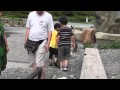 波勝崎苑の猿（ウリ坊が居たよ）Japanese Macaque Monkeys