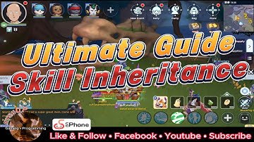 Ragnarok M Classic: Ultimate Guide on Skill Inheritance (Abyssal Lake Patch)