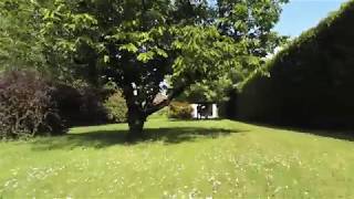 Parrot Anafi Beta Sample Video - Garden Scene 1 Original File Link