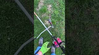 Trimer Ace. #grass