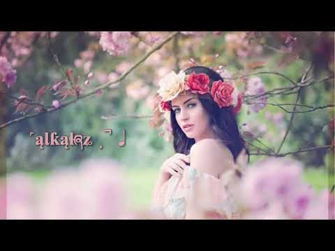 يارا هدي اعصابك