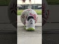 Adidas Football Boots Predator Pro TF