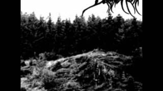 Daemonheim-Teufelsmauer
German black metal
album Hexentanz Daemonheim-Teufelsmauer