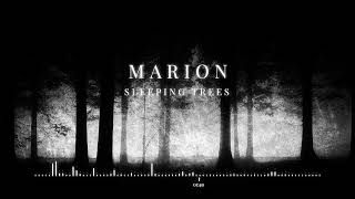 Marion - Sleeping Trees Chillstep