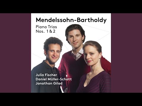 Piano Trio No. 1 in D Minor, Op. 49, MWV Q 29: II. Andante con moto tranquillo