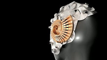 Marc6102 /Assignment 3 /S2 / 2018 /PinTing Lin 470303593 /Phil Wu 470465983  -  The Ammonites