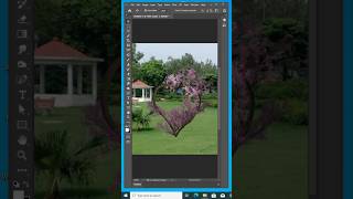 Photoshop Magic: Watch Trees Come to Life in This Short Tutorial