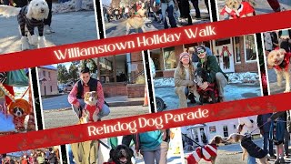 Williamstown Reindog Dog Parade 2025