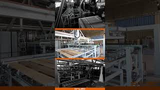 Automated Stacking & Sticking Line: Integration with Horizontal Saws | Dalso Srl