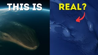 12 Mythical Creatures That Really Existed