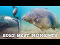 Best underwater fishing compilation 2023 4k quality