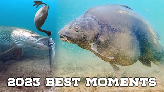 Best Underwater Fishing Compilation 2023 (4K Quality)