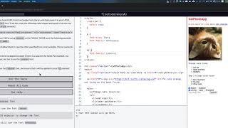 freeCodeCamp: Import a Google Font