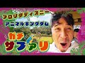 【フロリダディズニー⑤】アニマルキングダム、まじアニマルだらけ！