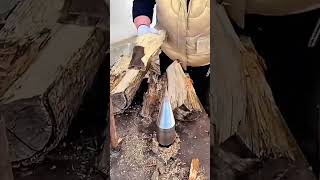 Wood Splitting Machine in Action! Watch How the Rotating Drill Instantly Splits Logs with Ease