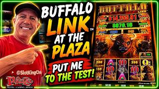 Buffalo Link at the Plaza Put Me to the Test