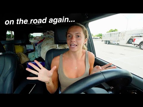 Thumbnail for My Last Week in South Florida 