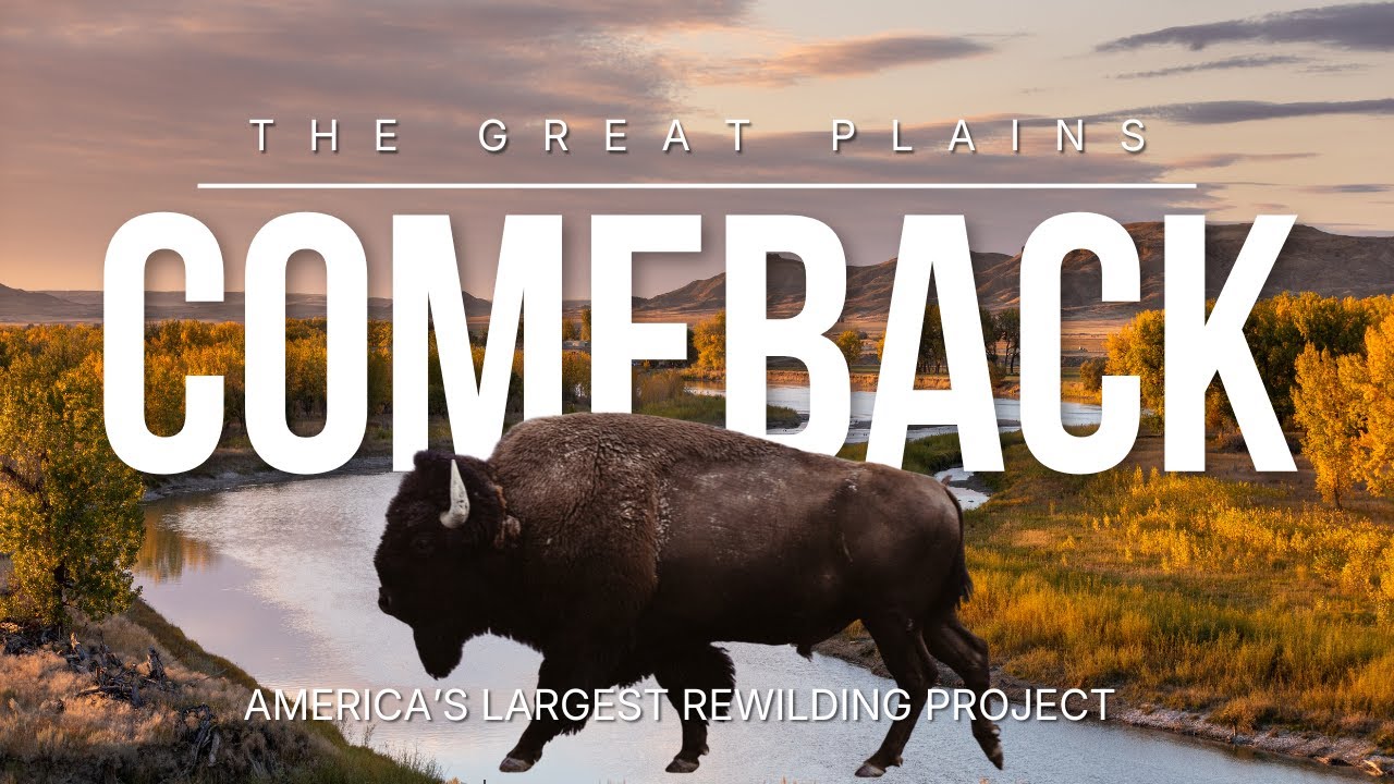 The Great Plains Comeback: Inside America's Largest Rewilding Project with Daniel Kinka, PhD