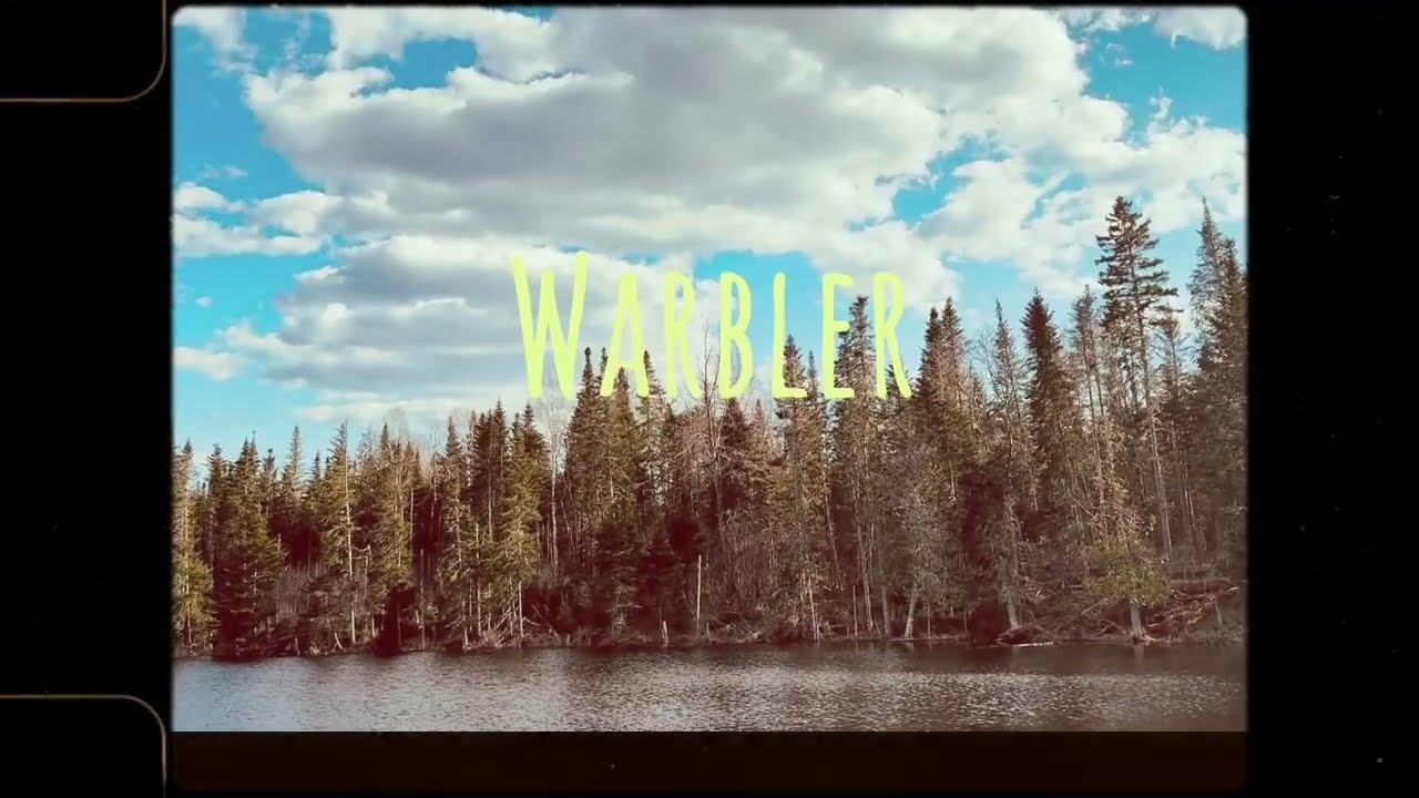 Watch The Hello Crows - Warbler (Lyric Video) on YouTube Watch The Hello Crows - Warbler (Lyric Video) on YouTube
