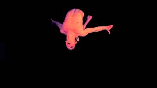 A Brief Crack of Light (teaser) / BIEFF 2013