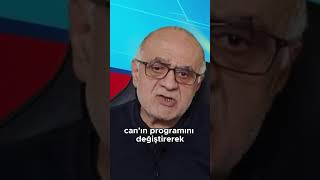 Farklı Becerileri Karıştırarak Zihni Zinde Tutmanın Sırrı Çaprazlama Yöntemi