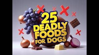 25 Foods That Will Kill Your Dog And Why Vets Warn Against Them 25 Common Foods That Will Kill Your Dog