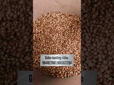 How to Roast Wheat Perfectly | Sattu Making Process// गेहूं भूनने का सही तरीका |  Gehu vujne video