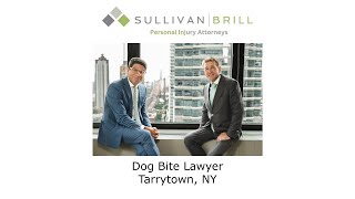 Dog Bite Lawyer Tarrytown NY - Sullivan Brill Personal Injury Attorneys
