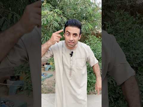 هم دازيك على شغلة وناسي علاوي رقاوي