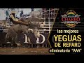 JINETE DE YEGUA Eliminatoria AAA - YEGUAS CHAMUCAS - Congreso Zacatecas 2018