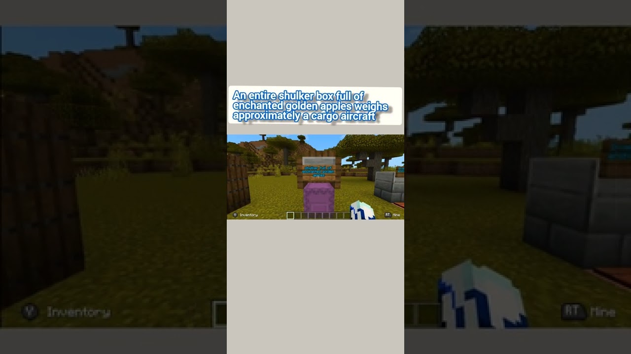 How Much Weight Can Steve Really Hold 