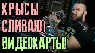 Слив видеокарт для майнеров крипты КАК КРЫСА В ТИХУЮ! Где же дефицит видеокарт и полупроводников?!