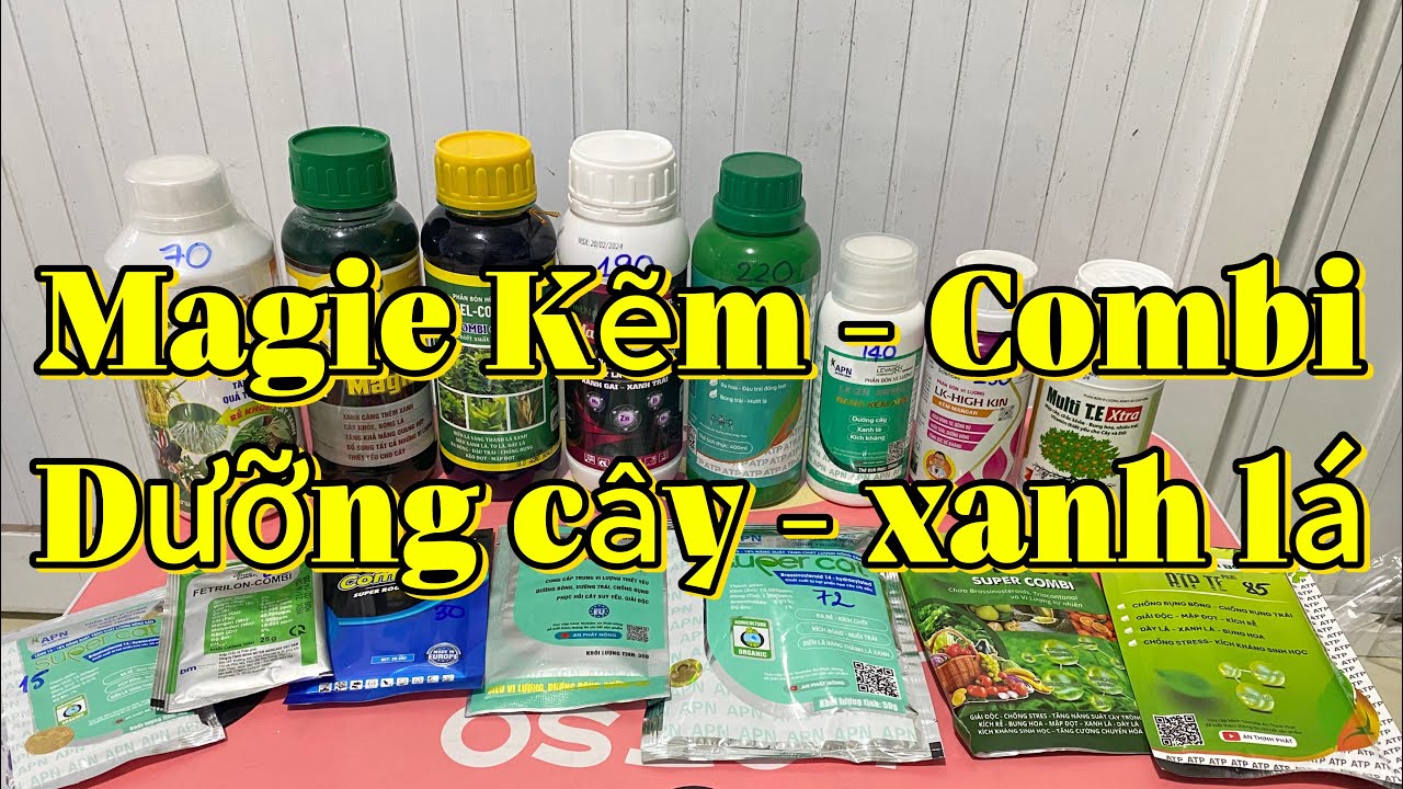Báo giá MAGIE KẼM - COMBI _ DƯỠNG CÂY XANH LÁ #thinhphat6tg #magiekem