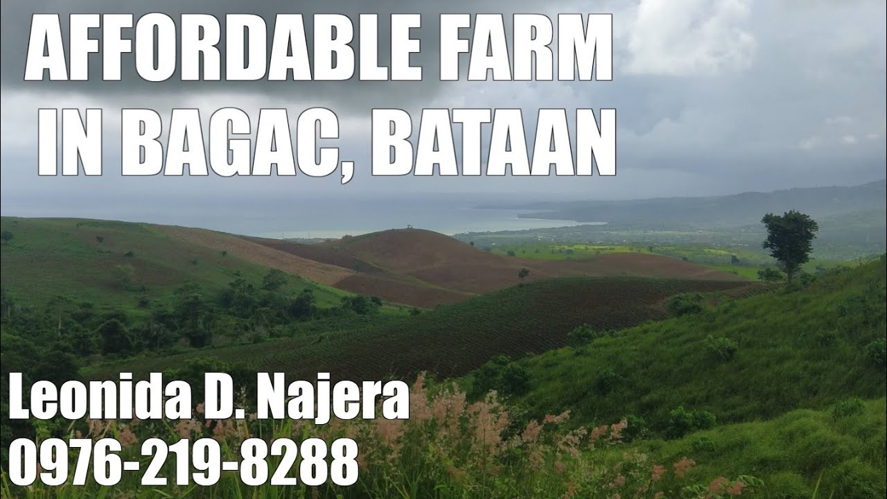 Affordable and Private Farm Lot For Sale in Bagac, Bataan Farm Tour