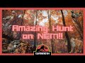 Amazing Hunt on NEM!! : : theHunter: Call of the Wild