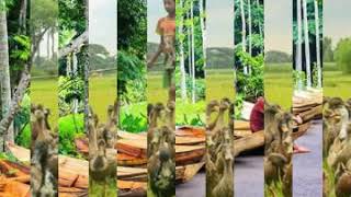 Beautiful Bangladesh