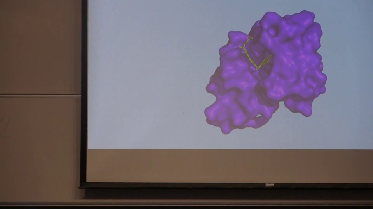 Week 5: Abraham Heifets, Deep Learning for Drug Discovery
