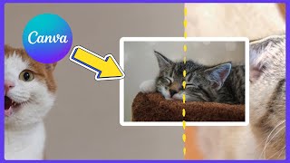 How to Connect 2 Pages in Canva with Seamless Transitions