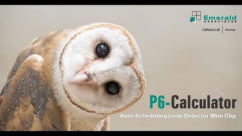 P6-Calculator - Auto Scheduling Loop Detector Mini Clip