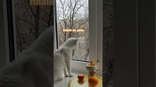 плани на день