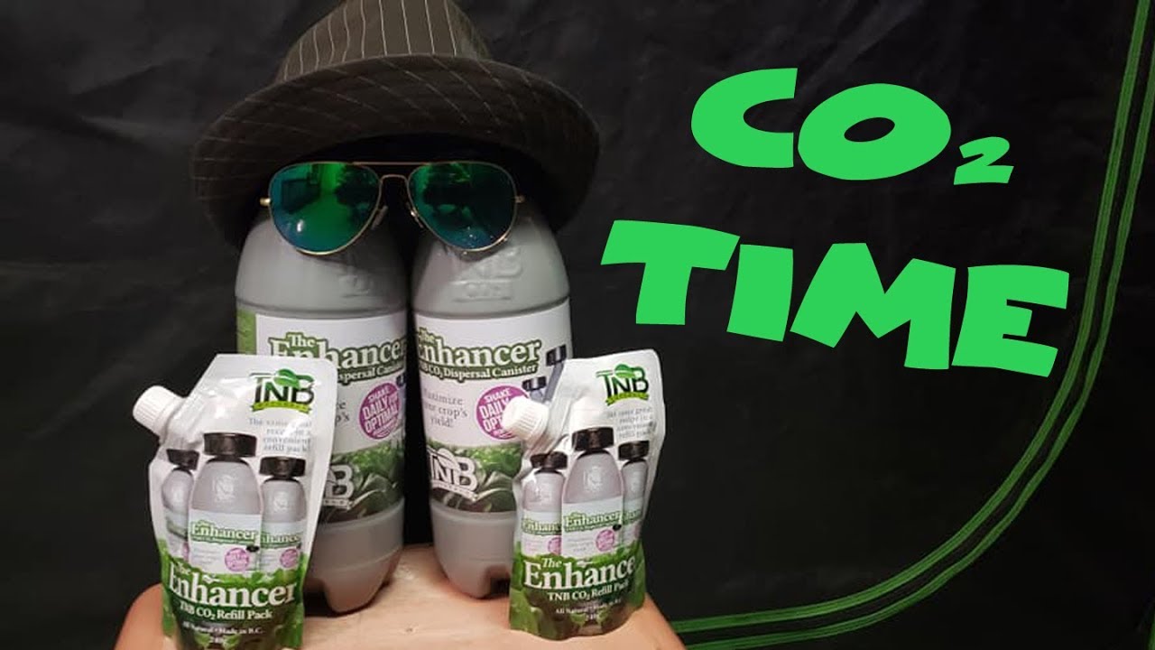 Co2 TIME -  w/ TNB NATURALS - adding Co2 to my grow tents